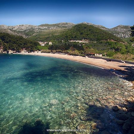 Studio Apartment Nika Andusa Petrovac ภายนอก รูปภาพ