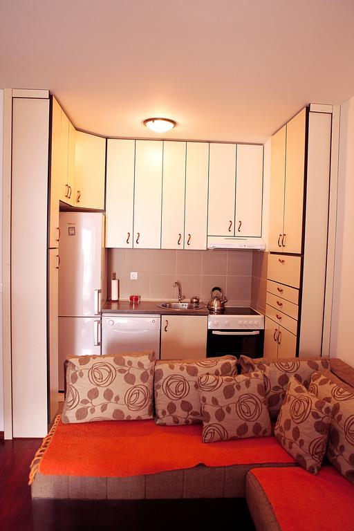 Studio Apartment Nika Andusa Petrovac ห้อง รูปภาพ