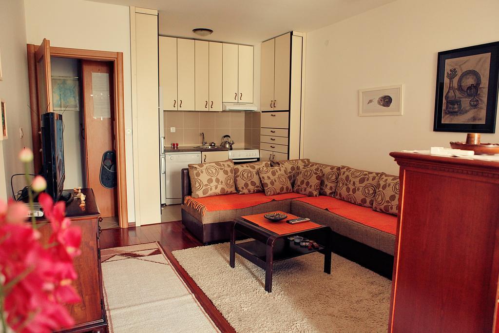 Studio Apartment Nika Andusa Petrovac ห้อง รูปภาพ