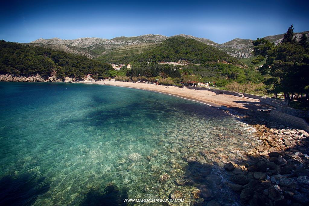 Studio Apartment Nika Andusa Petrovac ภายนอก รูปภาพ