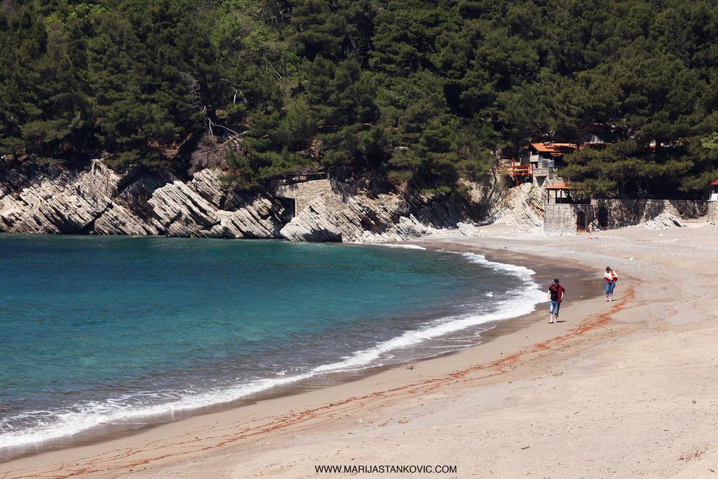 Studio Apartment Nika Andusa Petrovac ภายนอก รูปภาพ