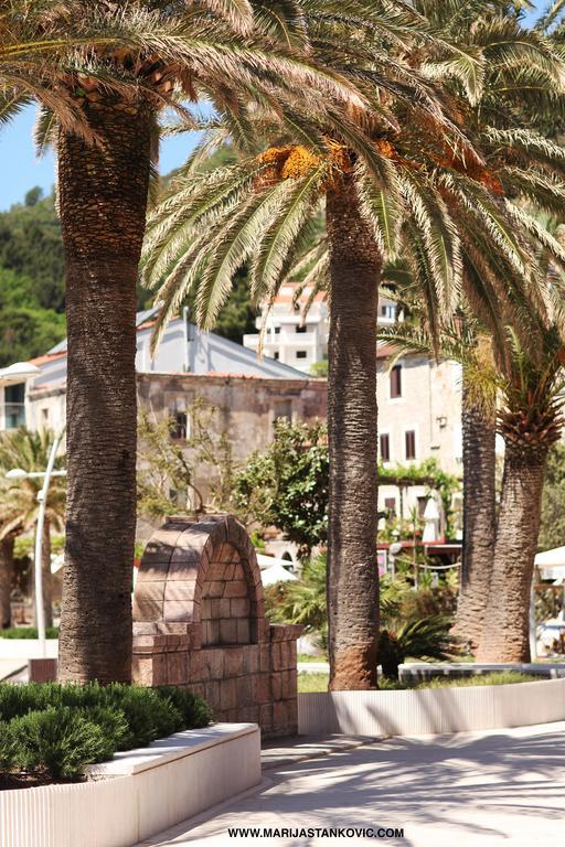 Studio Apartment Nika Andusa Petrovac ภายนอก รูปภาพ